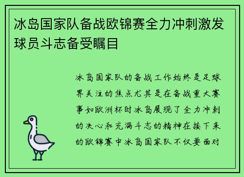 冰岛国家队备战欧锦赛全力冲刺激发球员斗志备受瞩目